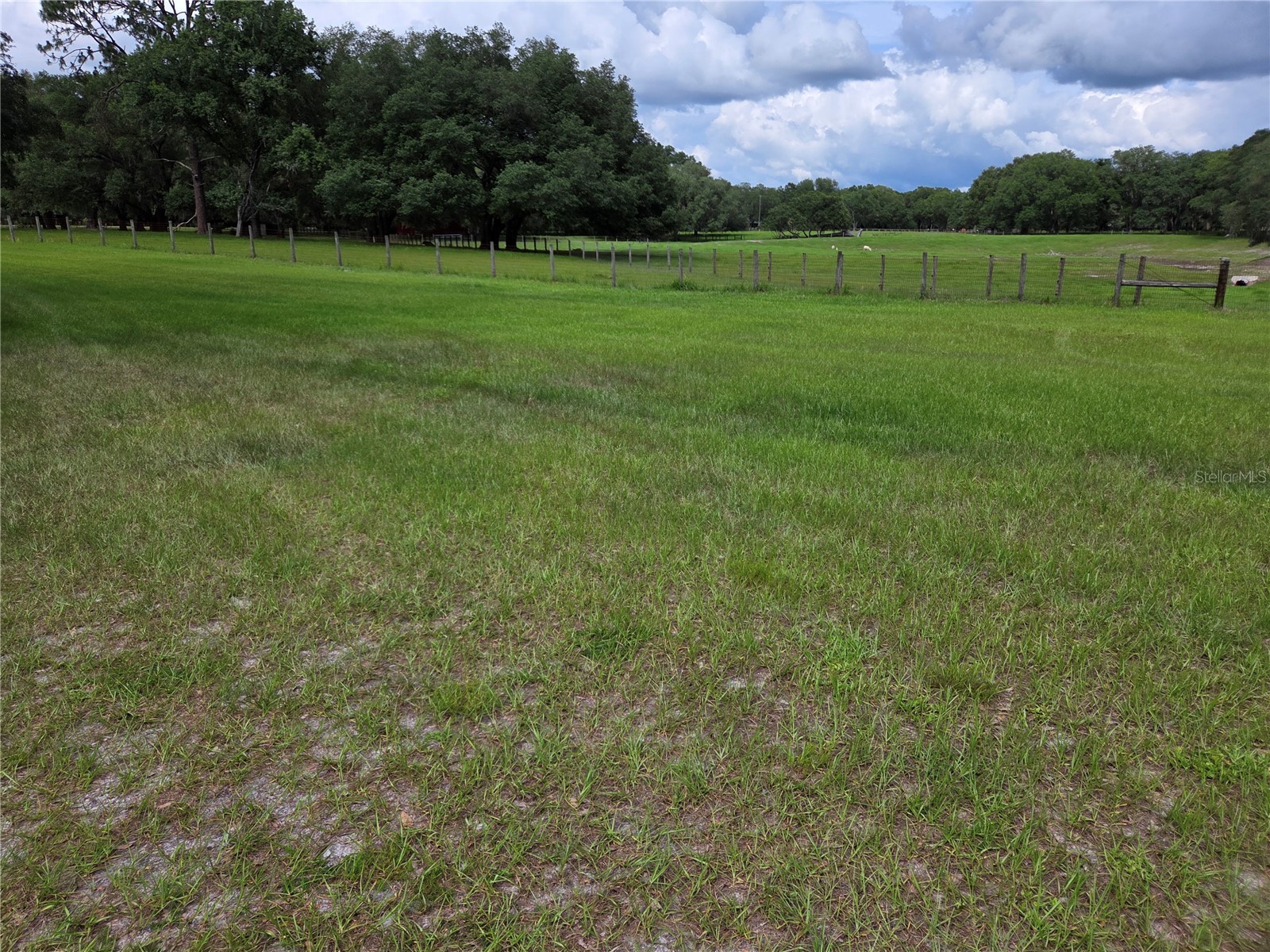 2450 SE 190th Terrace Morriston FL 32668 OM726394 image38