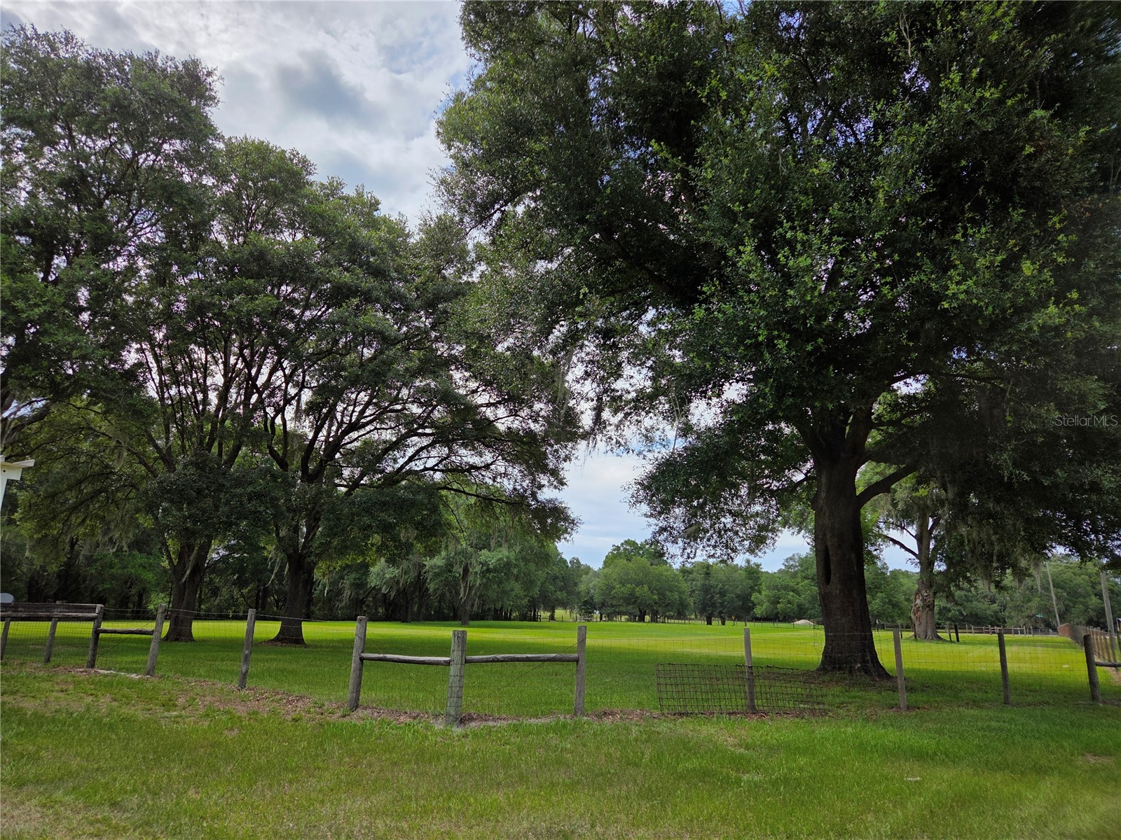 2450 SE 190th Terrace Morriston FL 32668 OM726394 image40