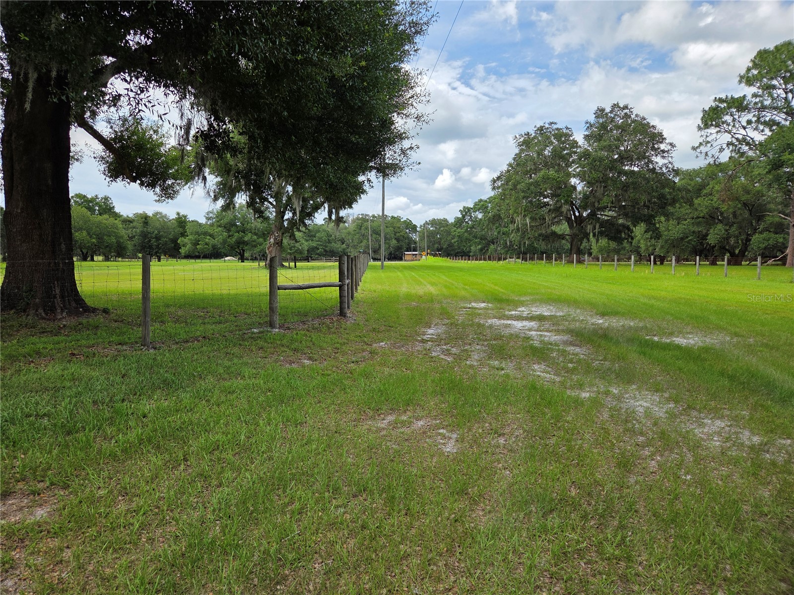 2450 SE 190th Terrace Morriston FL 32668 OM726394 image41