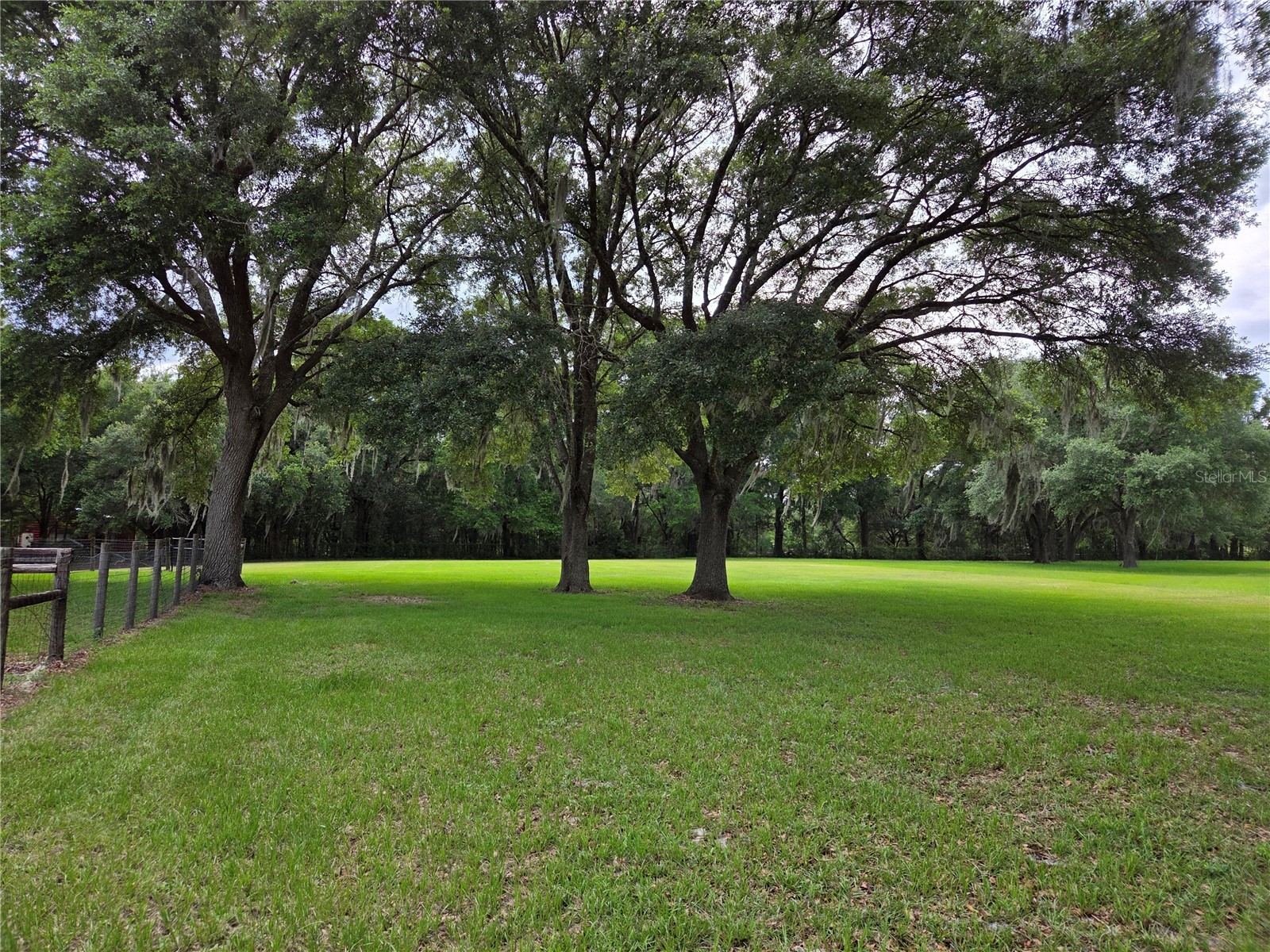 2450 SE 190th Terrace Morriston FL 32668 OM726394 image42