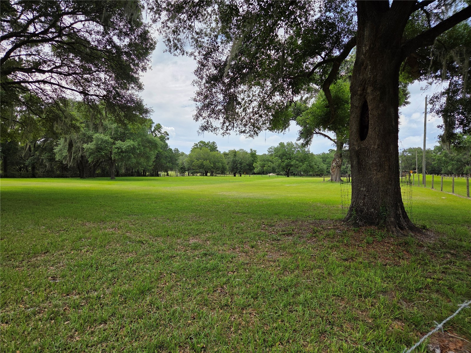 2450 SE 190th Terrace Morriston FL 32668 OM726394 image43
