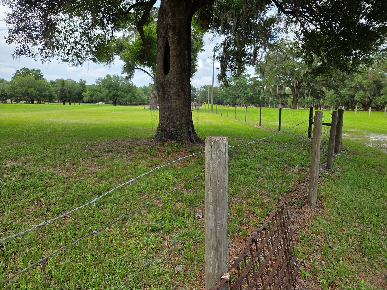 2450 SE 190th Terrace Morriston FL 32668 OM726394 image44