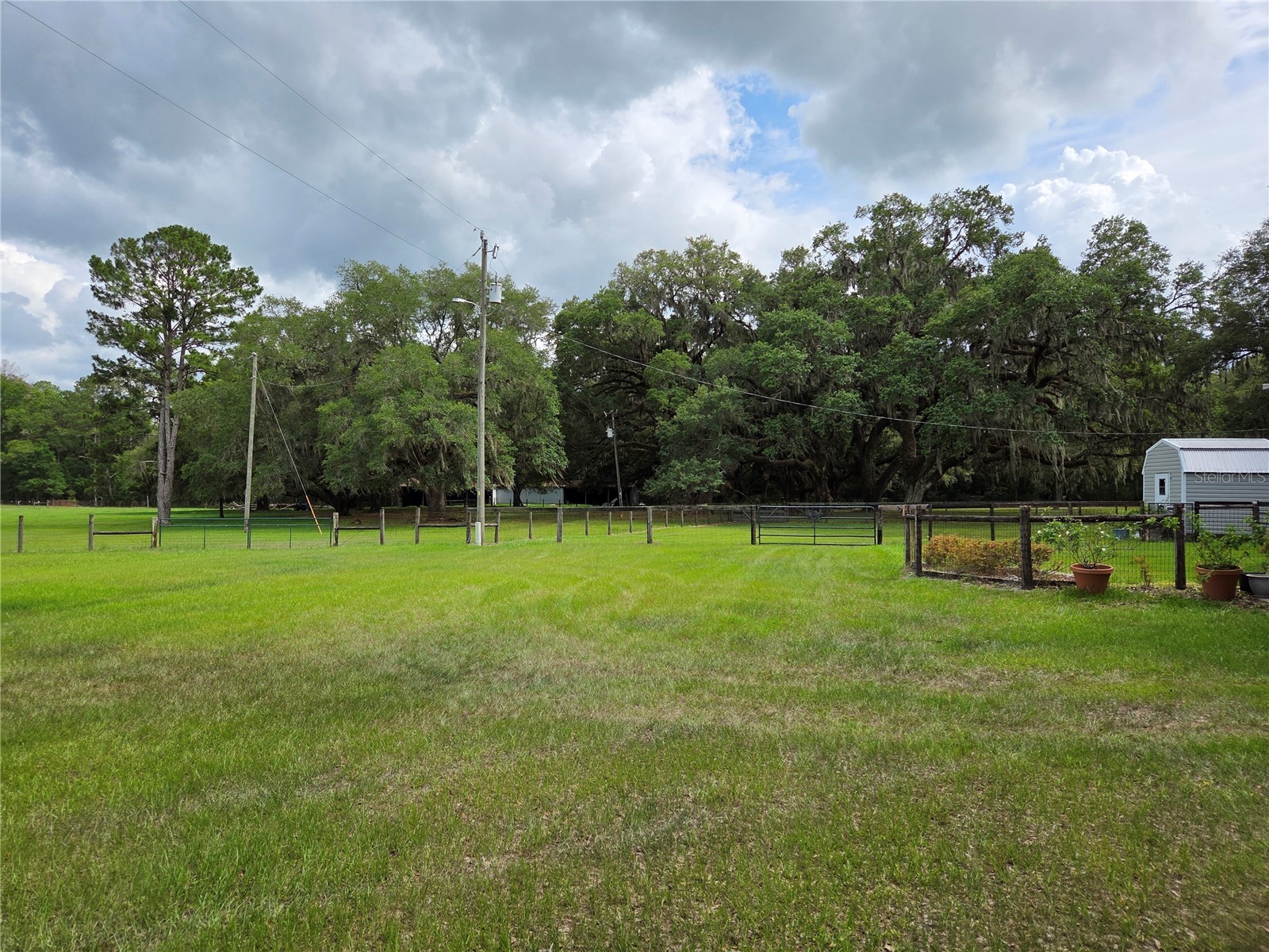 2450 SE 190th Terrace Morriston FL 32668 OM726394 image45