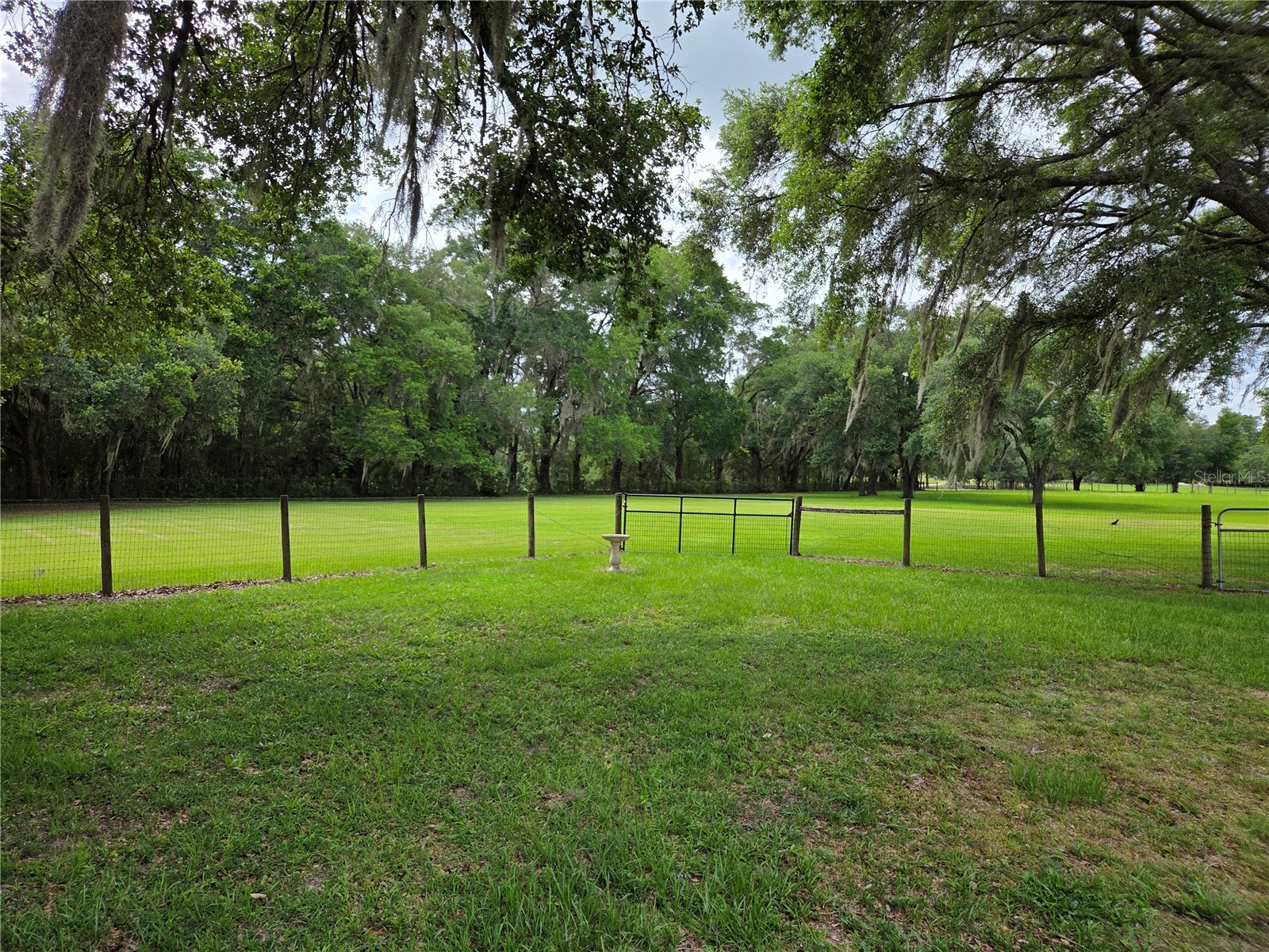 2450 SE 190th Terrace Morriston FL 32668 OM726394 image46
