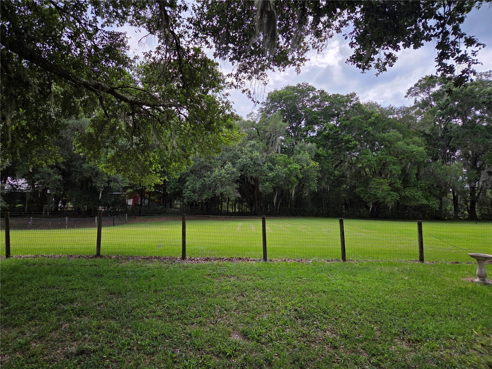 2450 SE 190th Terrace Morriston FL 32668 OM726394 image47