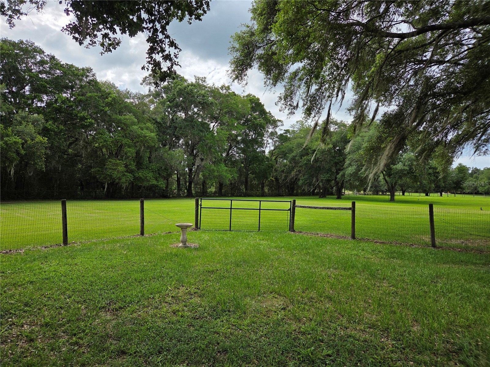 2450 SE 190th Terrace Morriston FL 32668 OM726394 image48