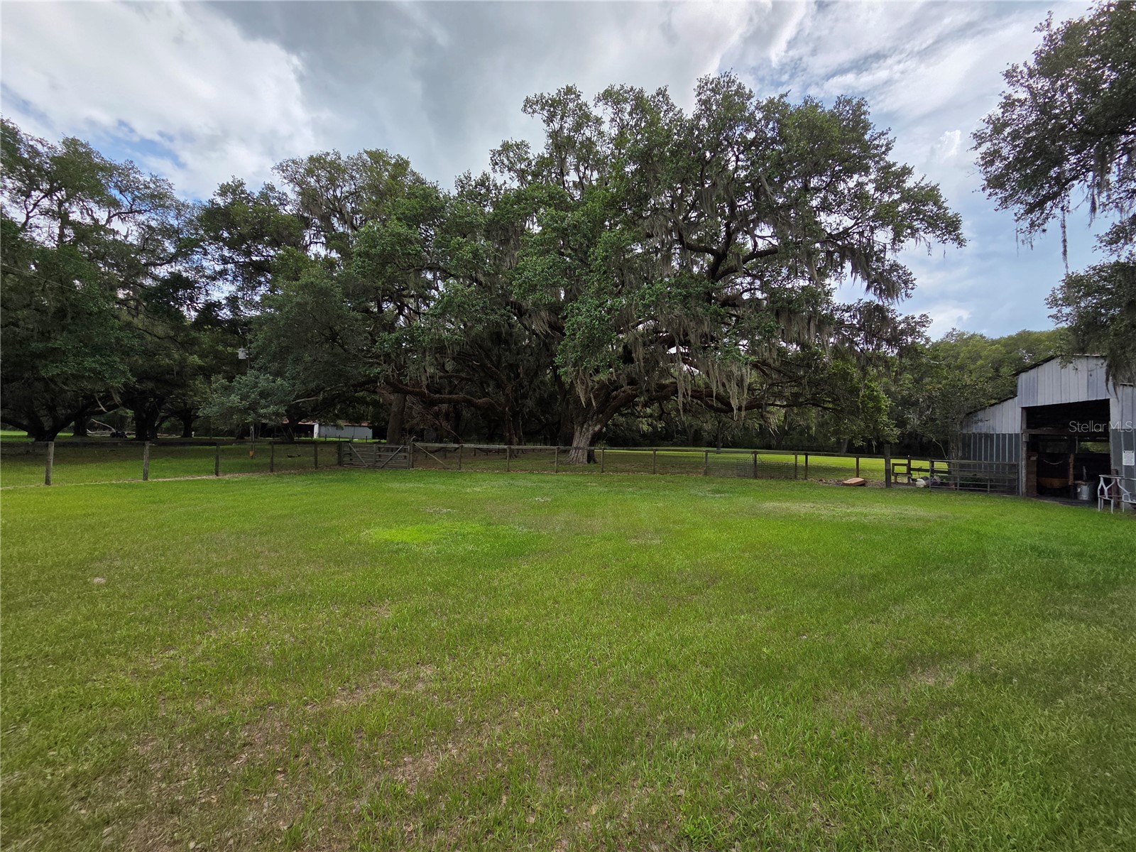 2450 SE 190th Terrace Morriston FL 32668 OM726394 image54