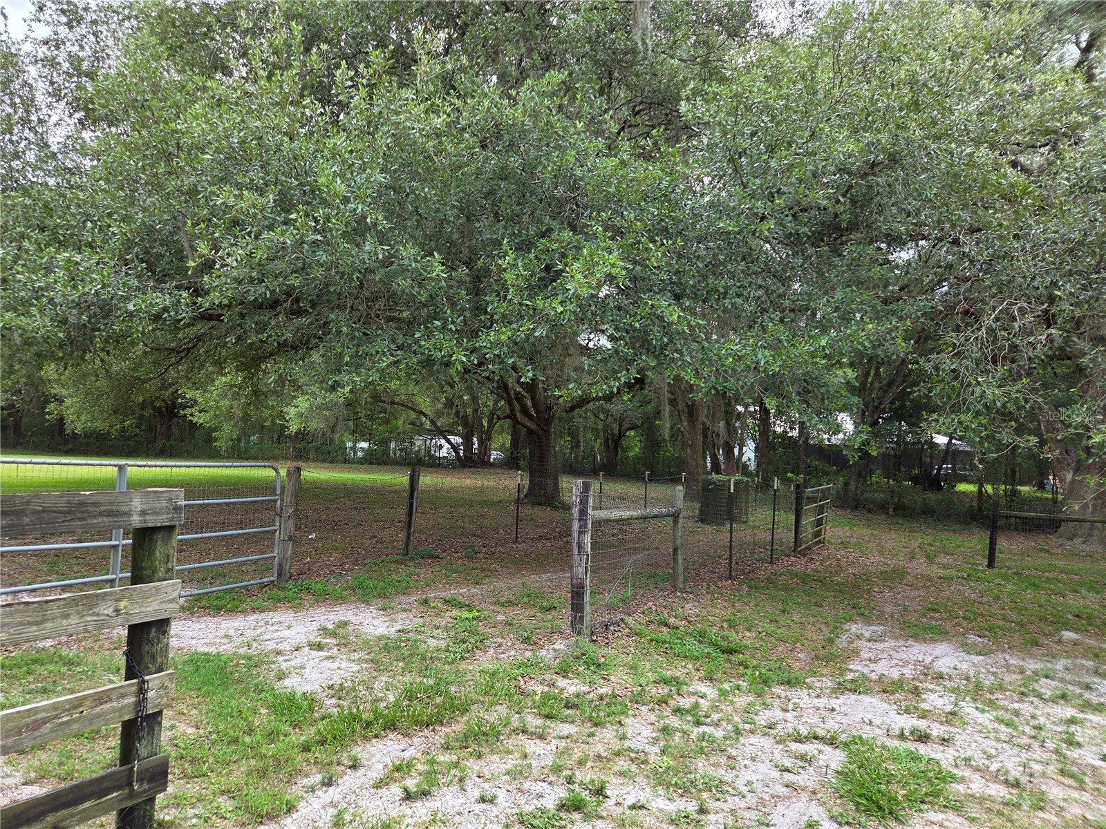 2450 SE 190th Terrace Morriston FL 32668 OM726394 image67