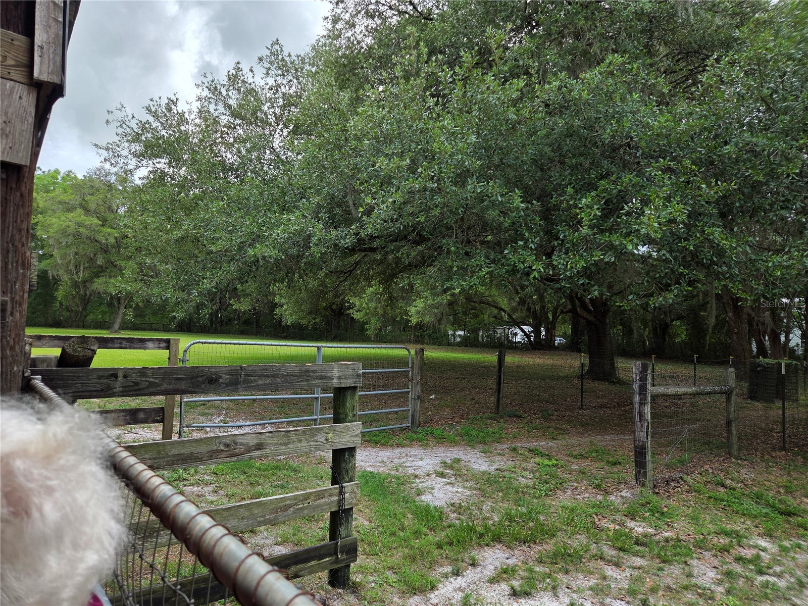 2450 SE 190th Terrace Morriston FL 32668 OM726394 image68