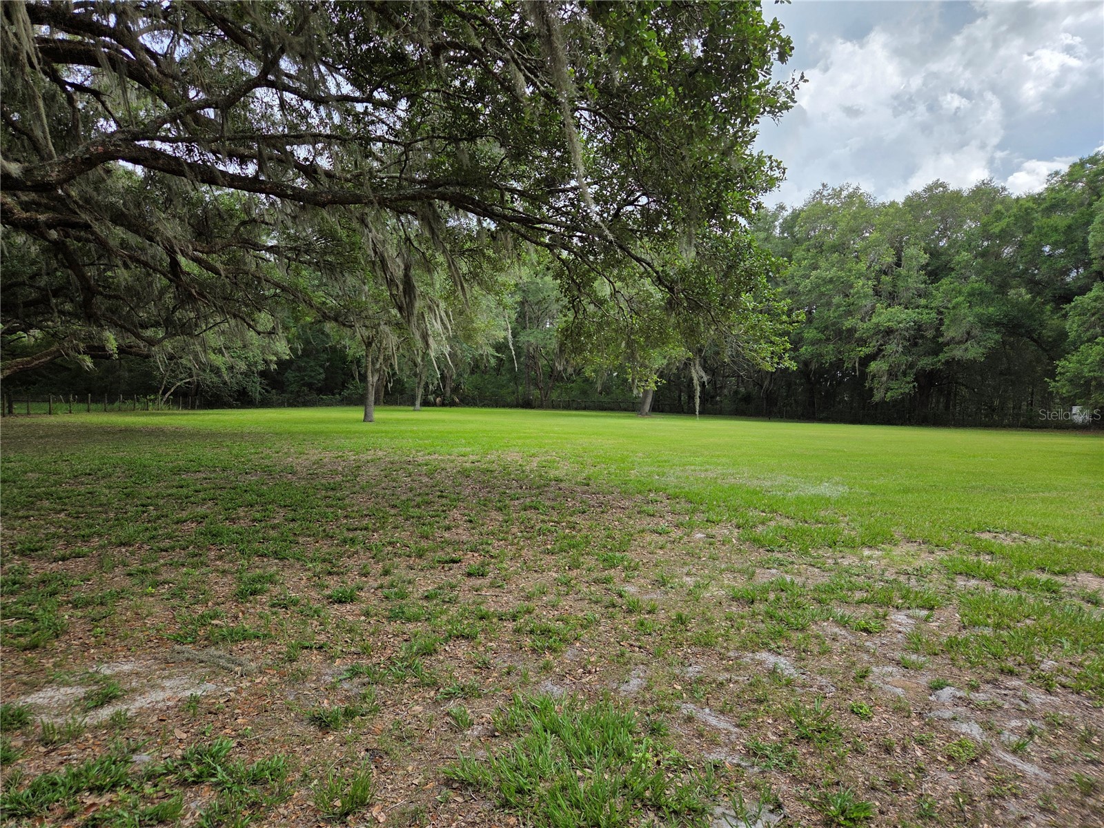2450 SE 190th Terrace Morriston FL 32668 OM726394 image70