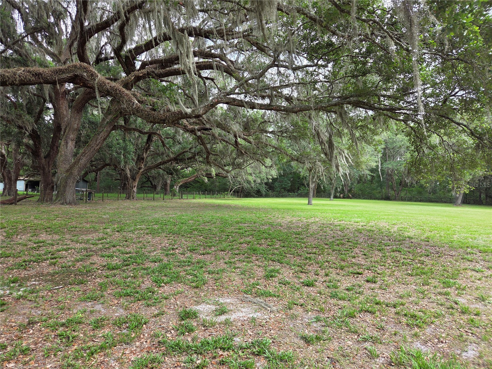 2450 SE 190th Terrace Morriston FL 32668 OM726394 image71