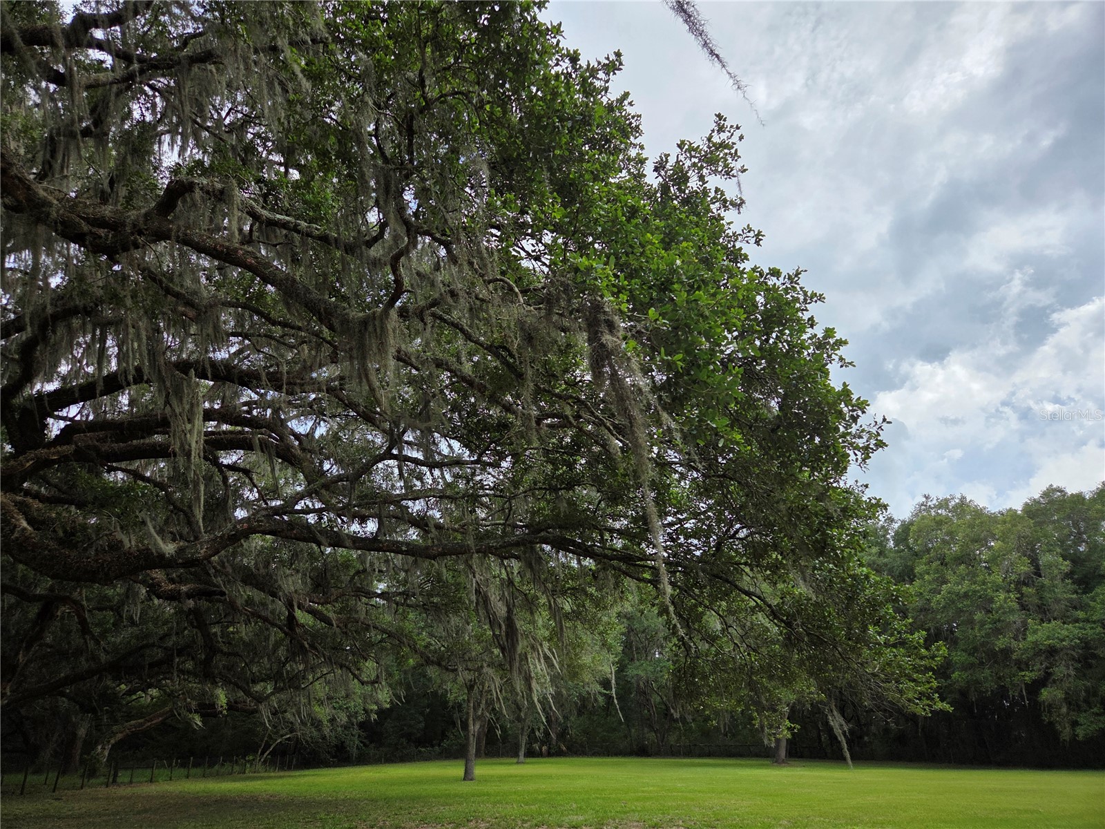 2450 SE 190th Terrace Morriston FL 32668 OM726394 image73