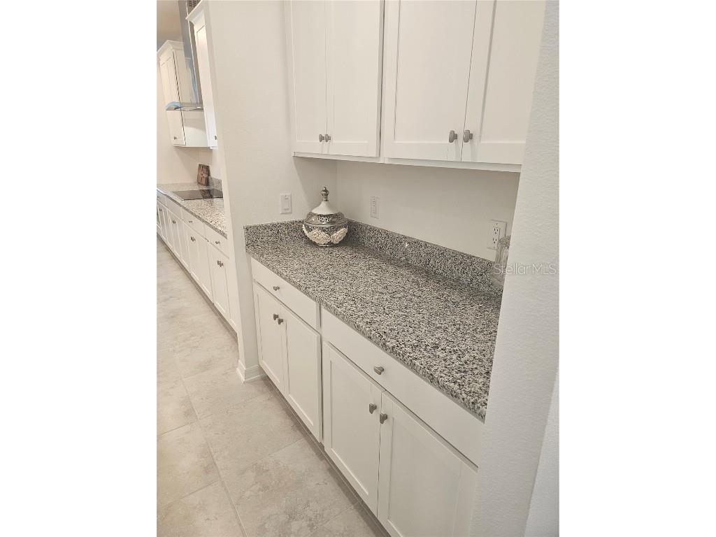 2450 Sunny Pebble Loop Zephyrhills FL 33540 TB8429840 image13