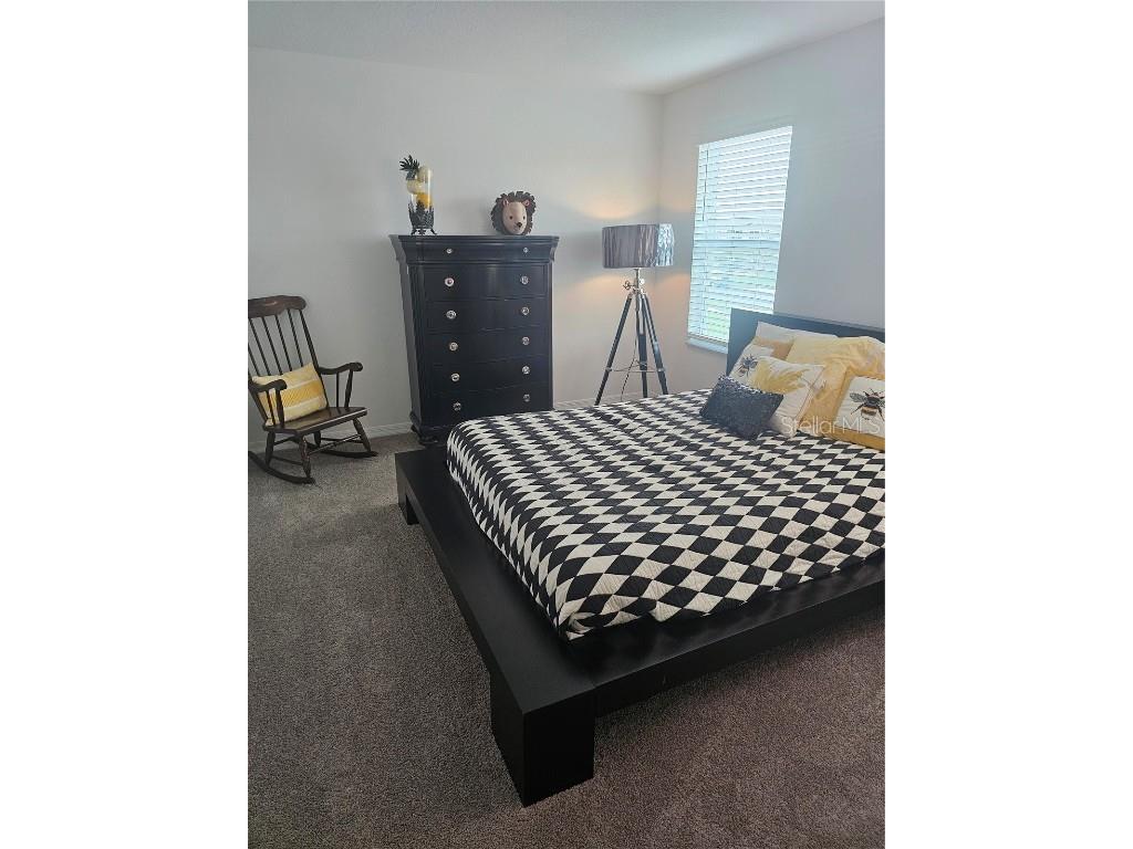 2450 Sunny Pebble Loop Zephyrhills FL 33540 TB8429840 image34