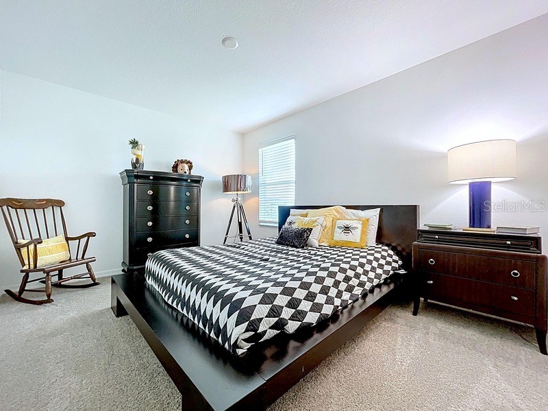 2450 Sunny Pebble Loop Zephyrhills FL 33540 TB8429840 image35