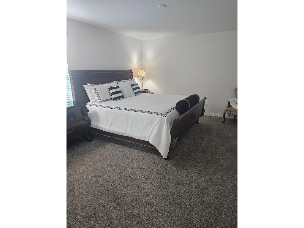 2450 Sunny Pebble Loop Zephyrhills FL 33540 TB8429840 image36