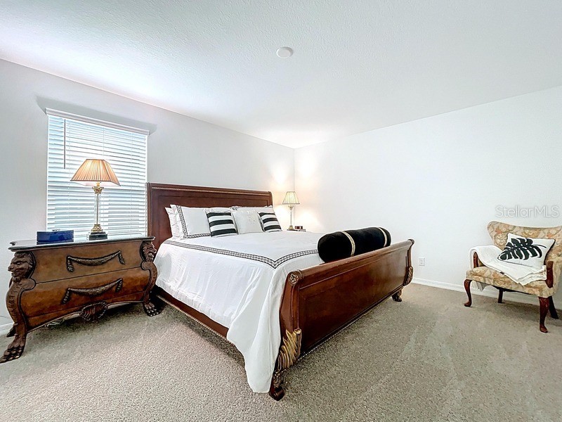 2450 Sunny Pebble Loop Zephyrhills FL 33540 TB8429840 image38