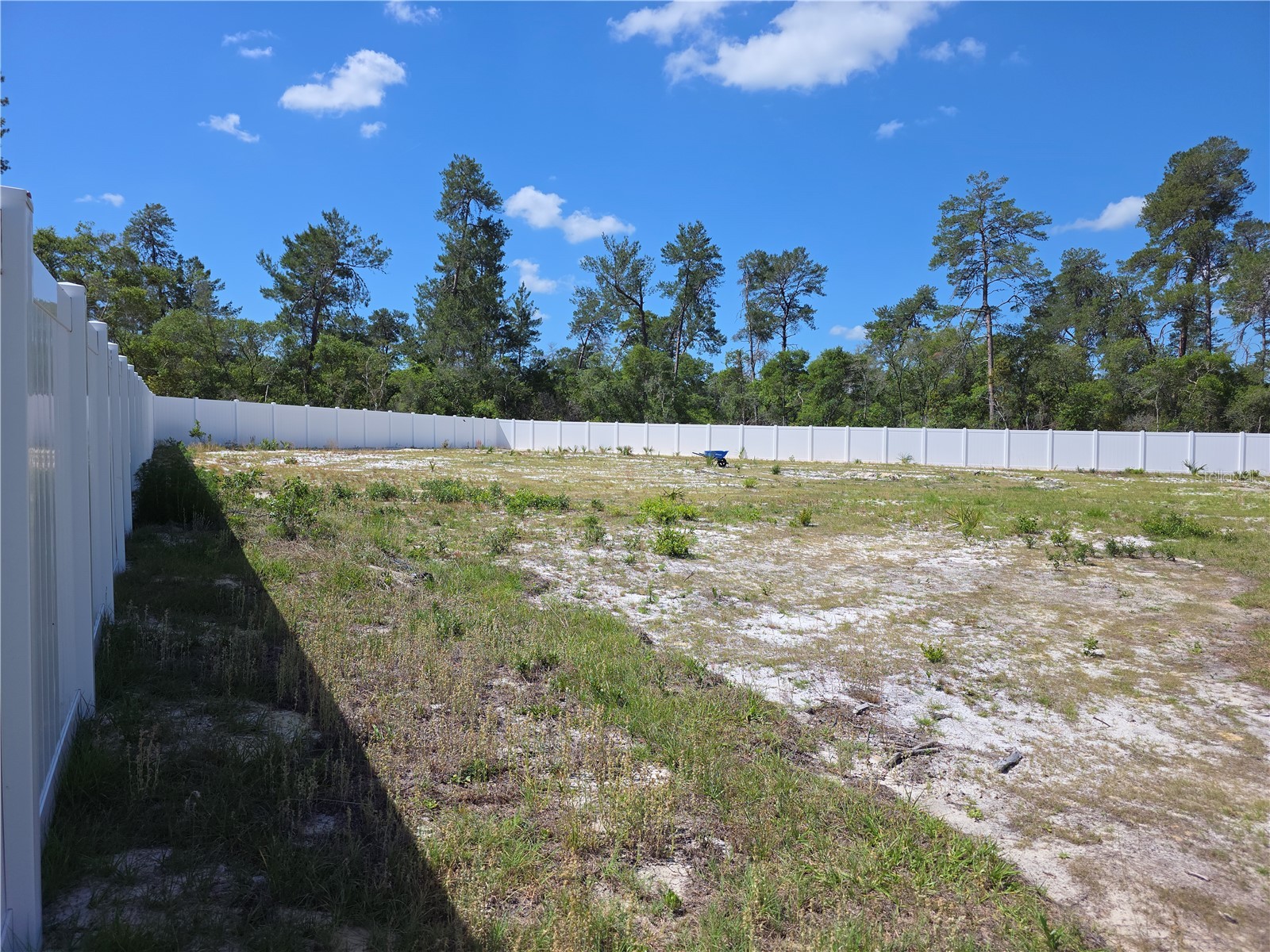 2450 SW 170th Loop Ocala FL 34473 OM725256 image5