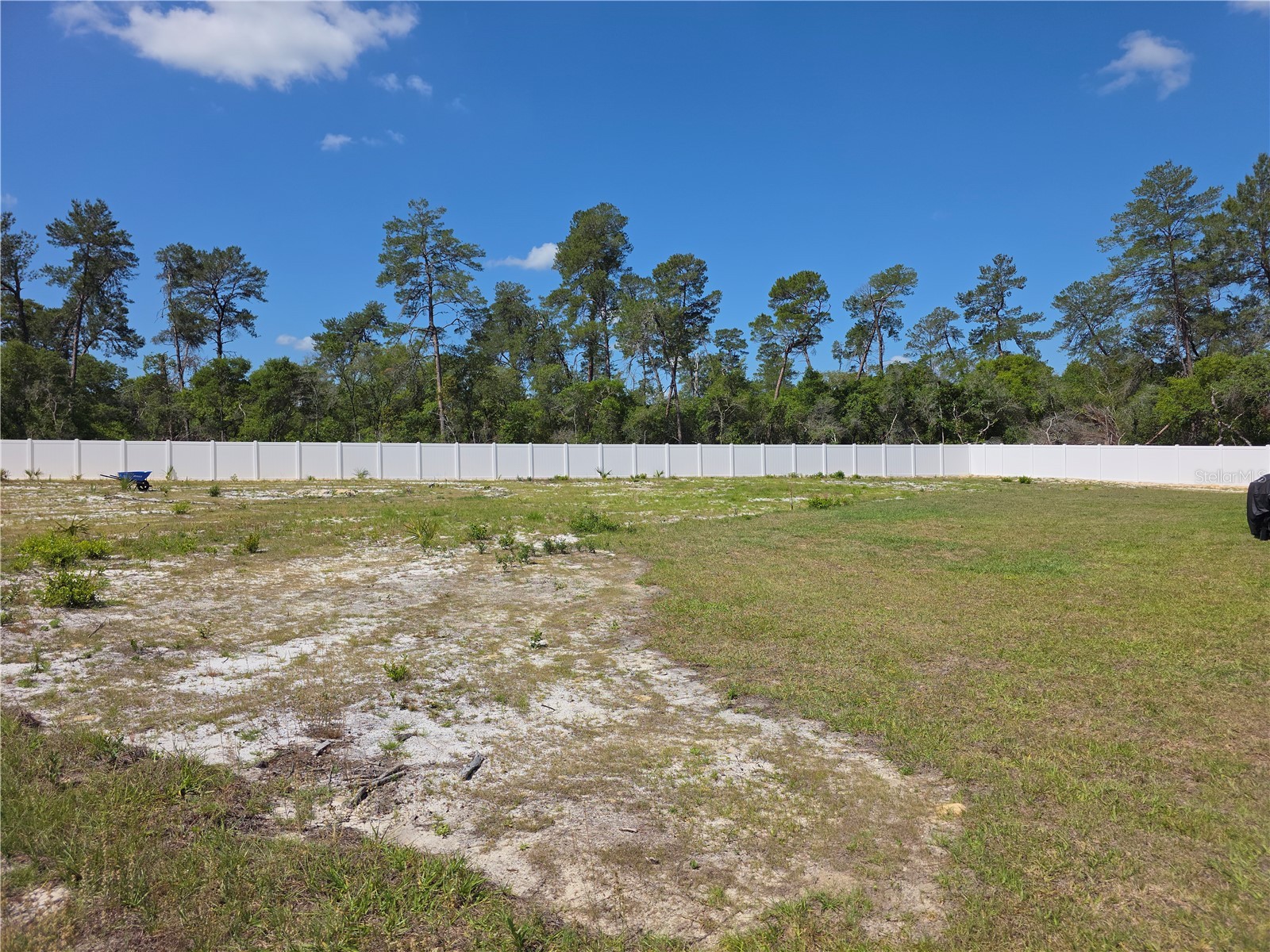 2450 SW 170th Loop Ocala FL 34473 OM725256 image6