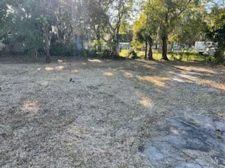 2450 Wildwood Drive Mims FL 32754 O6170875 image1