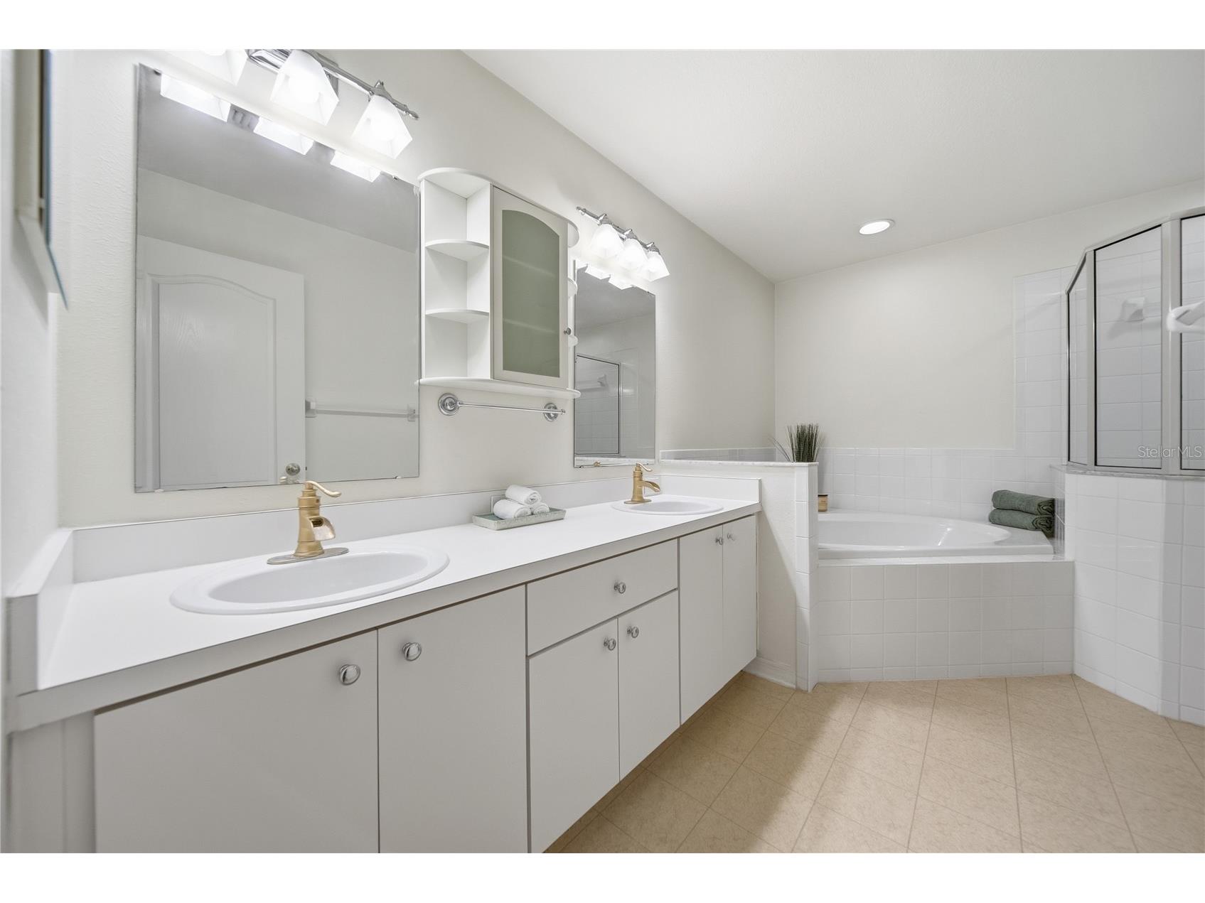 24504 Mistwood Court Lutz FL 33559 TB8522795 image11