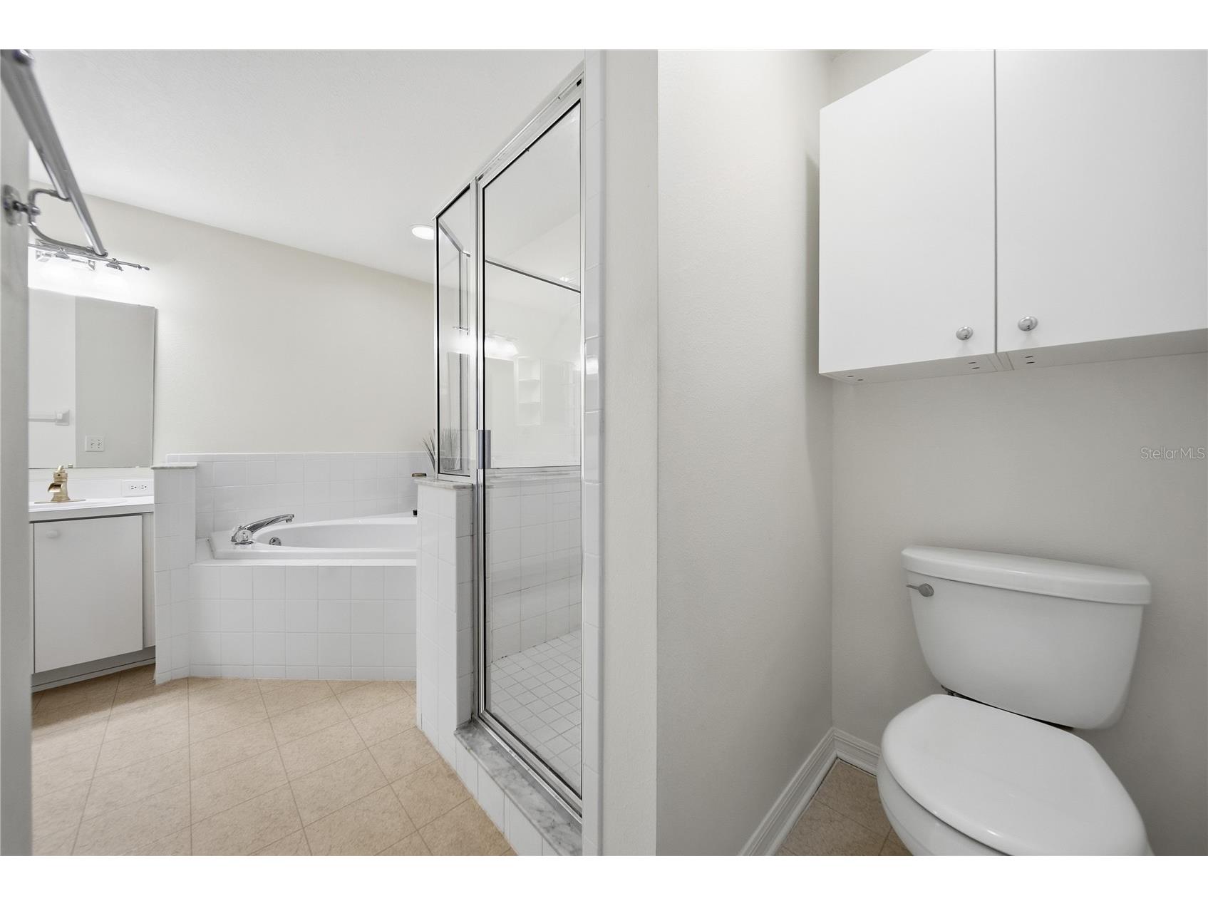 24504 Mistwood Court Lutz FL 33559 TB8522795 image12