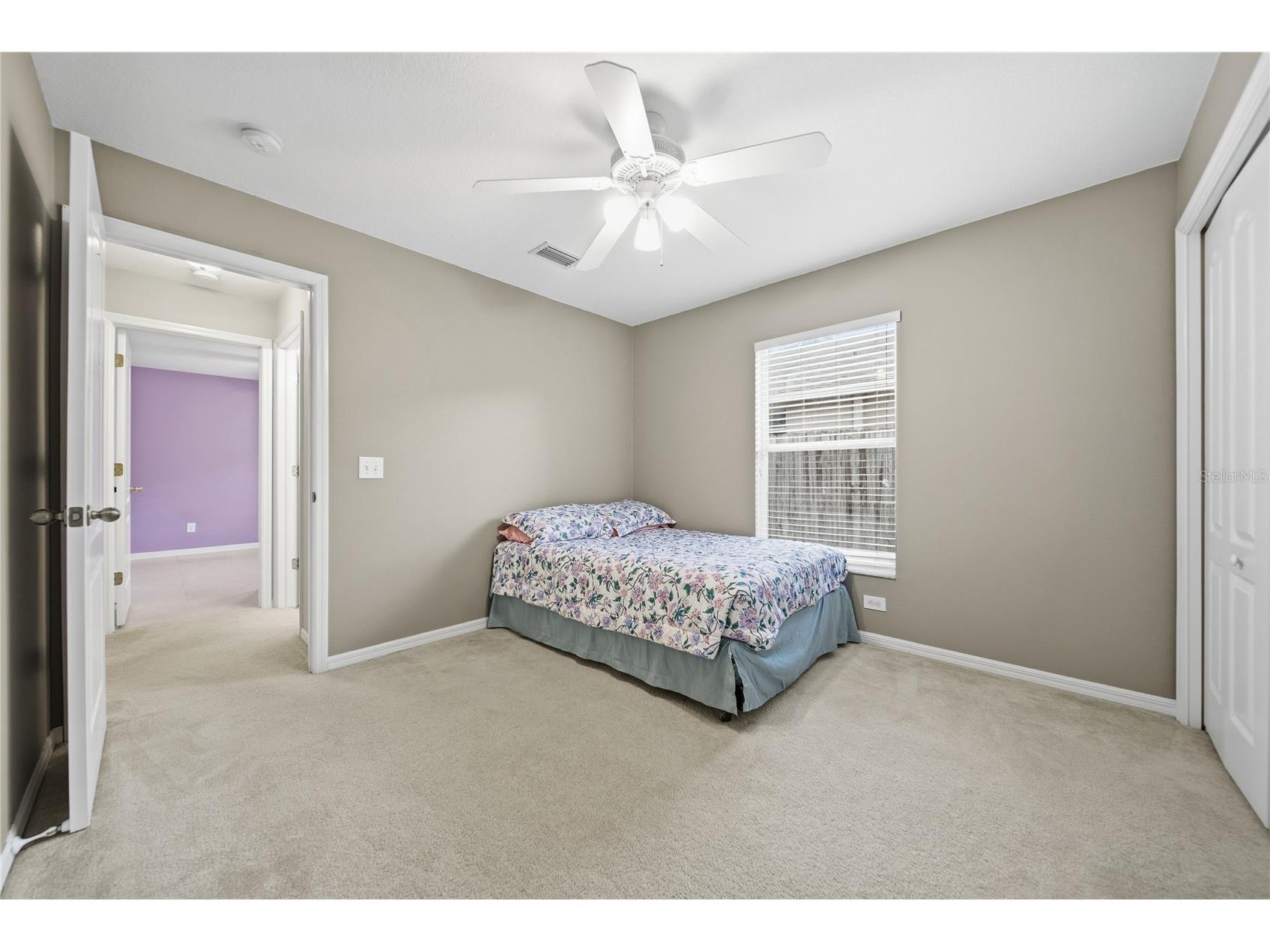 24504 Mistwood Court Lutz FL 33559 TB8522795 image13