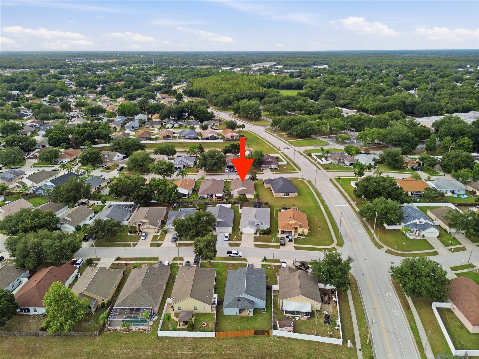 24504 Mistwood Court Lutz FL 33559 TB8522795 image3