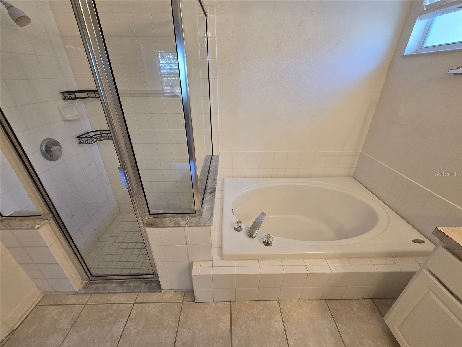 24505 Landing Drive Lutz FL 33559 W7885562 image18