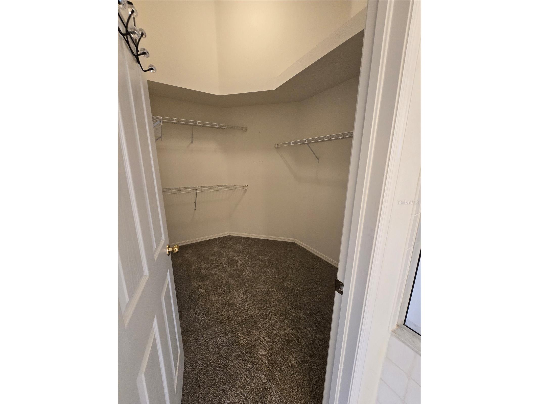 24505 Landing Drive Lutz FL 33559 W7885562 image19