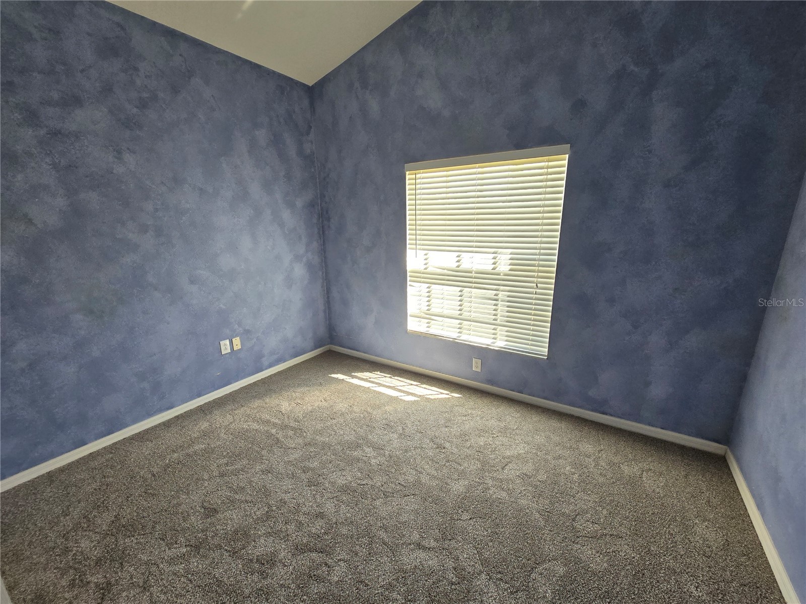 24505 Landing Drive Lutz FL 33559 W7885562 image28