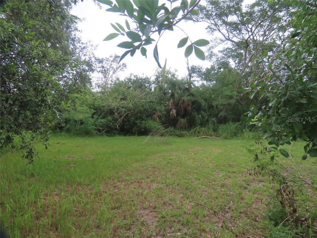 2451 Dolarway Street Sanford FL 32771 O6114331 image1