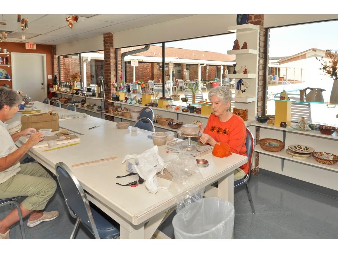 2451 E Del Webb Boulevard Sun City Center FL 33573 TB8308701 image47