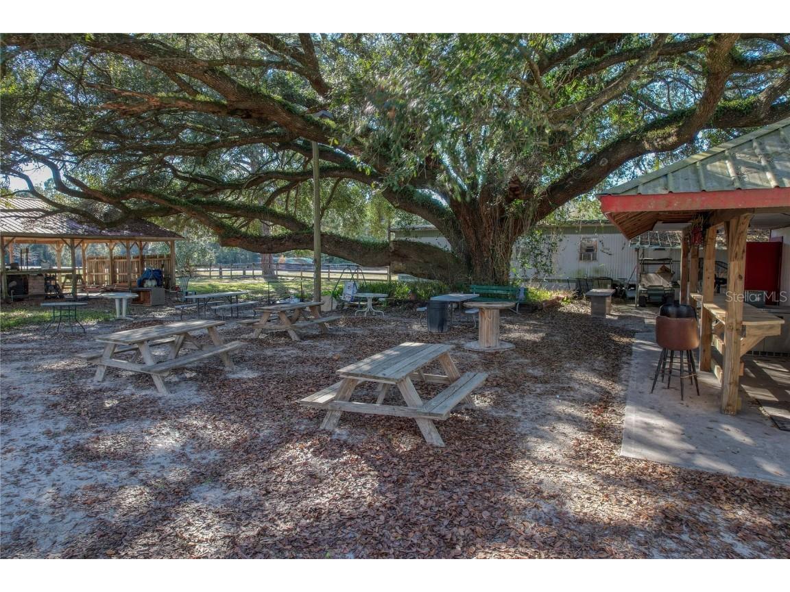 2451 SE Highway 41 Morriston FL 32668 OM713731 image62