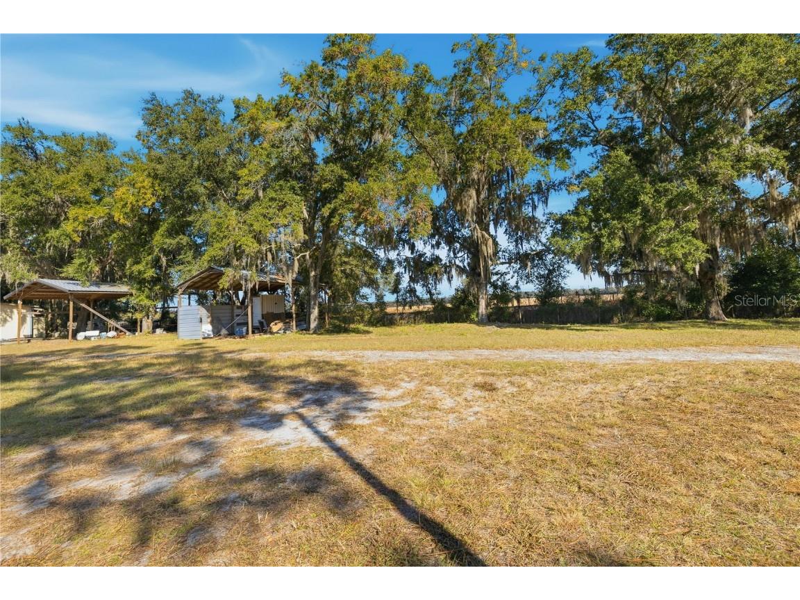 2451 SE Highway 41 Morriston FL 32668 OM713731 image75