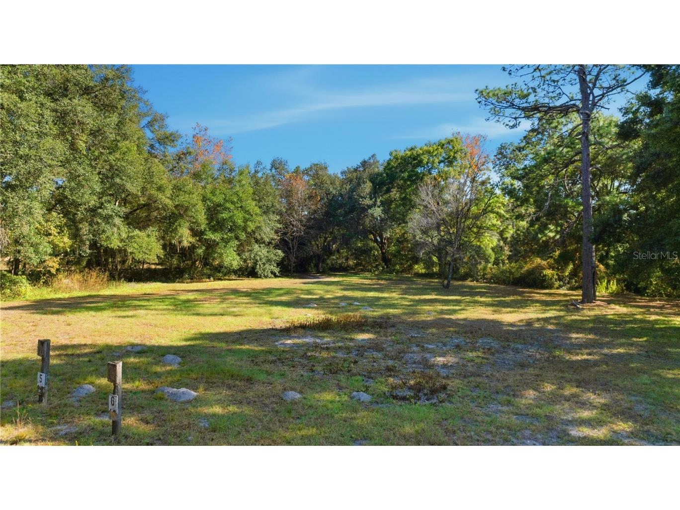 2451 SE Highway 41 Morriston FL 32668 OM713731 image92