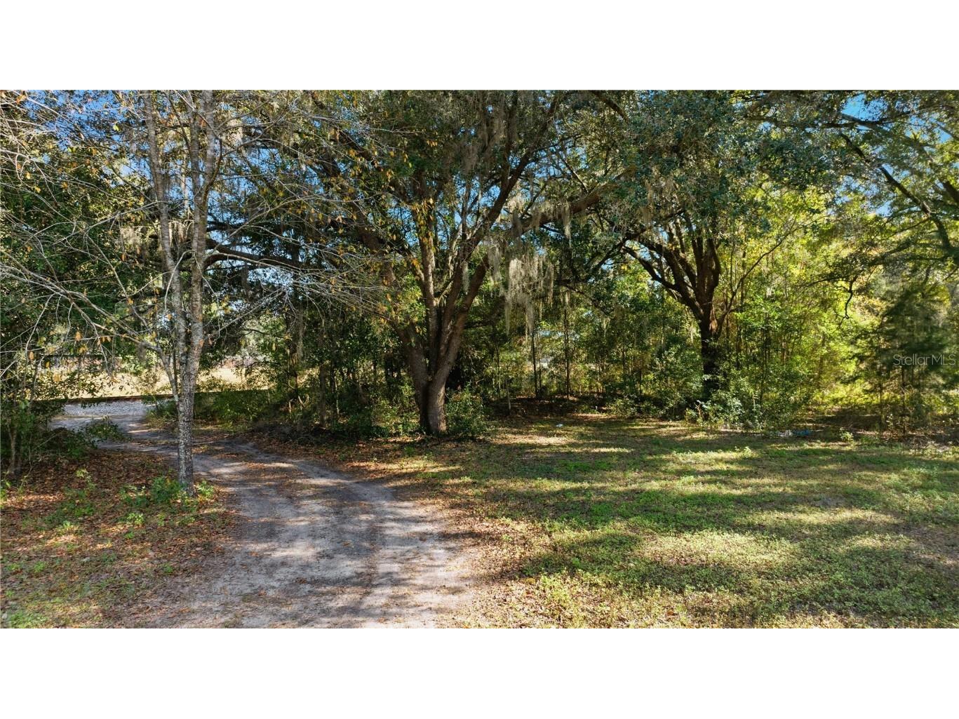 2451 SE Highway 41 Morriston FL 32668 OM713731 image93