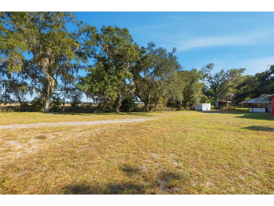 2451 SE Highway 41 Morriston FL 32668 OM713731 image95