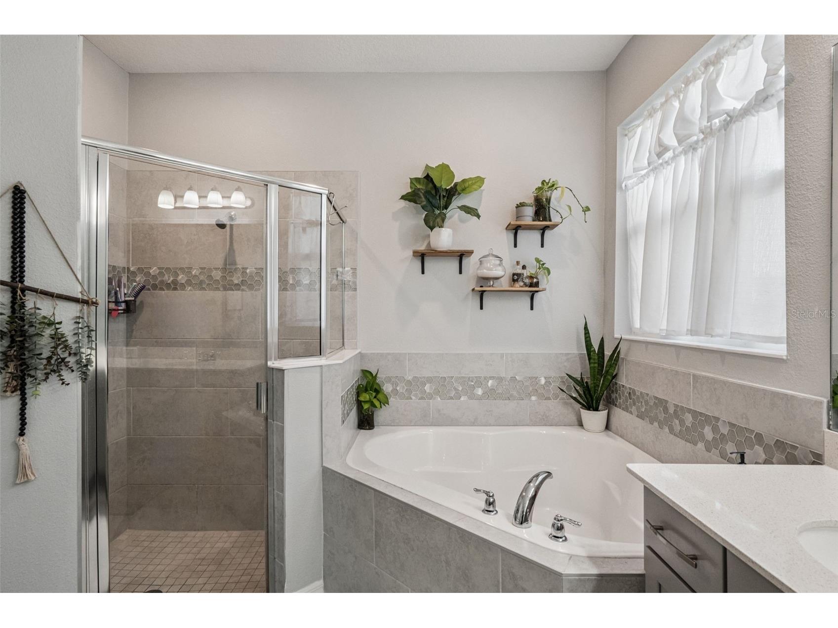 2451 Sky Stone Court Oakland FL 34787 S5141292 image19