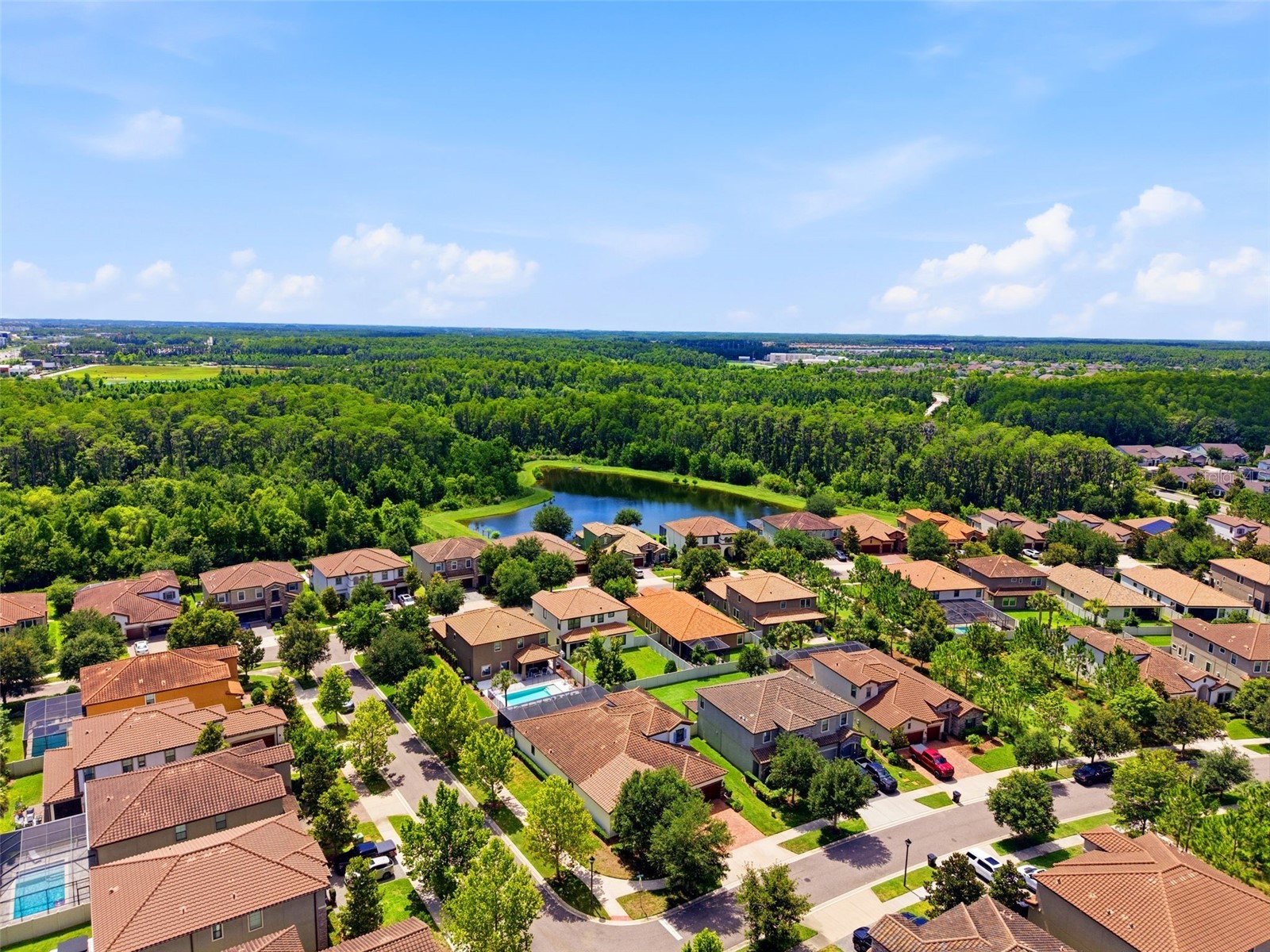 2451 Slade Avenue Odessa FL 33556 W7886109 image56