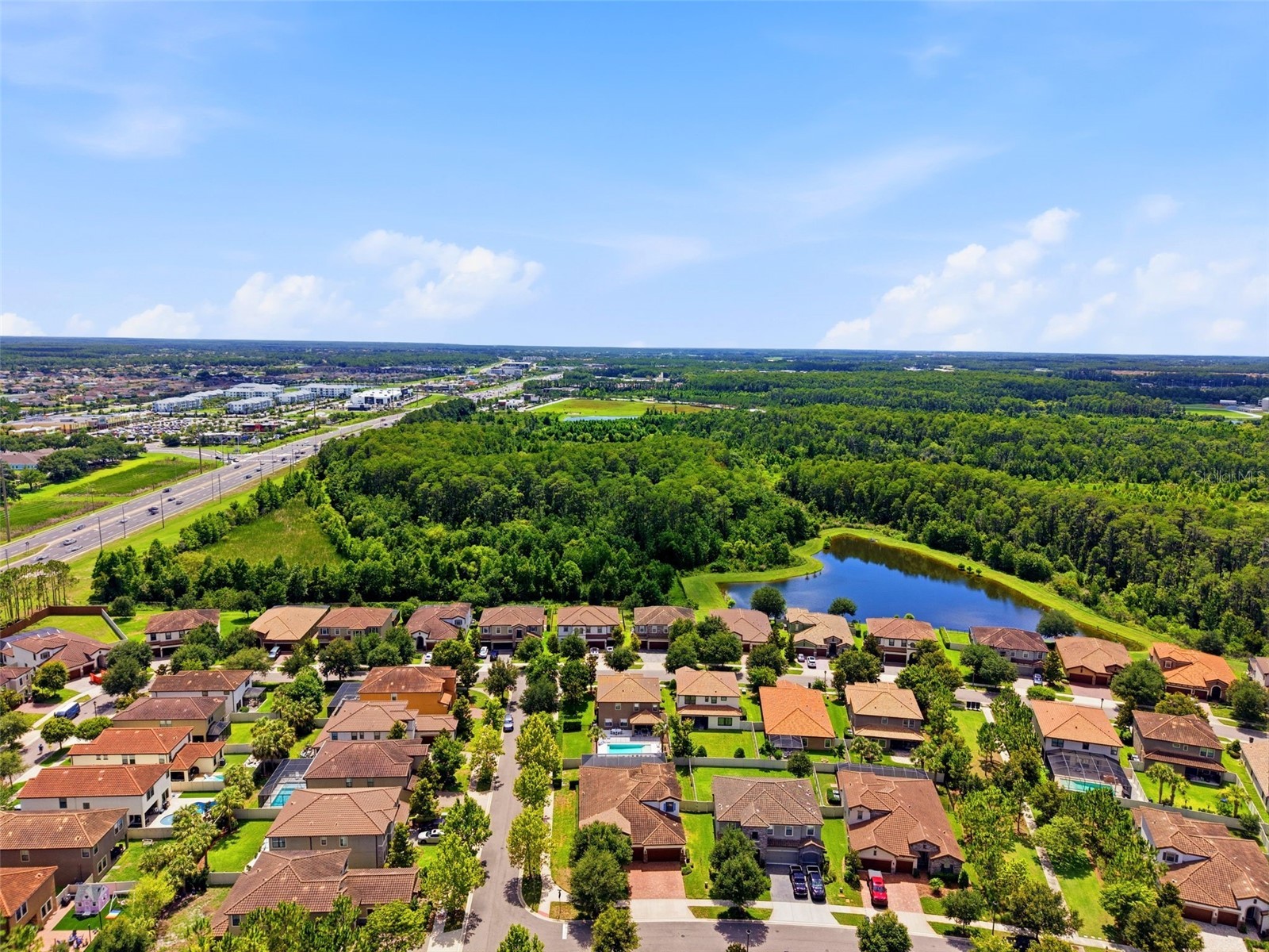 2451 Slade Avenue Odessa FL 33556 W7886109 image59
