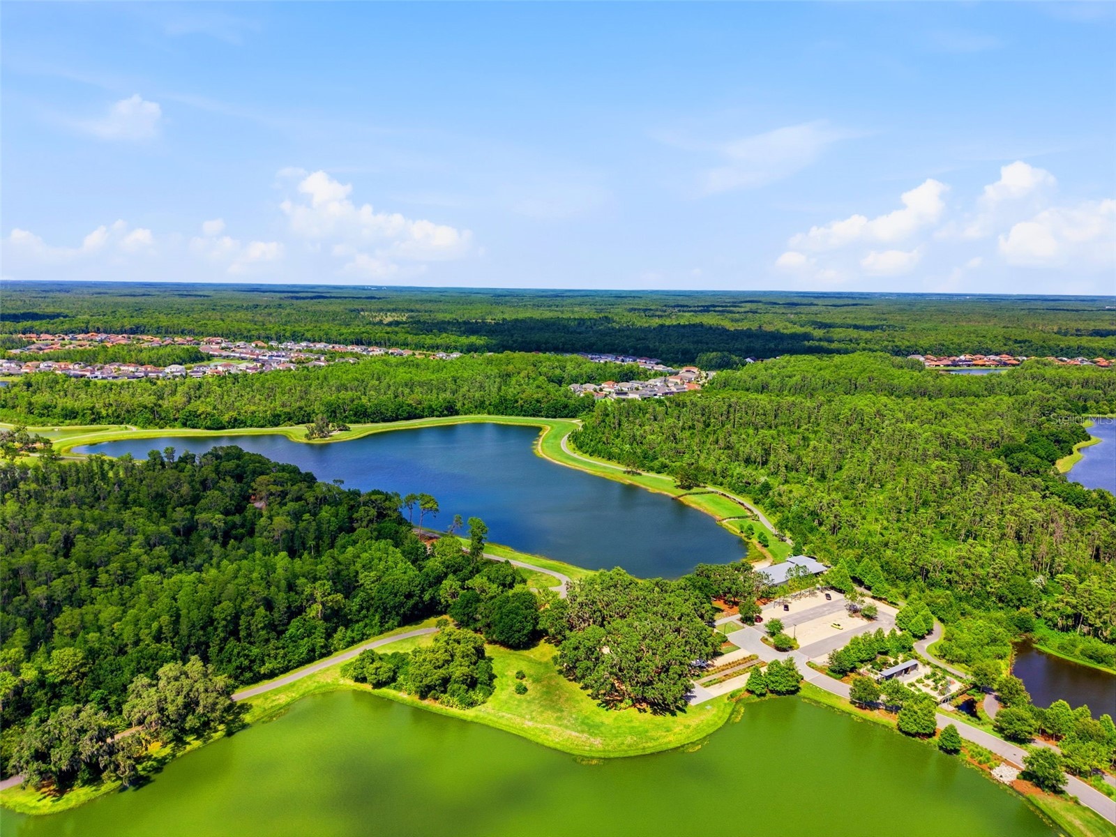 2451 Slade Avenue Odessa FL 33556 W7886109 image64