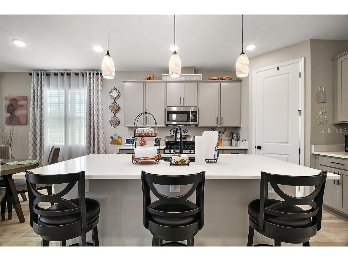 2451 Spring Breeze Drive Leesburg FL 34748 O6292663 image14