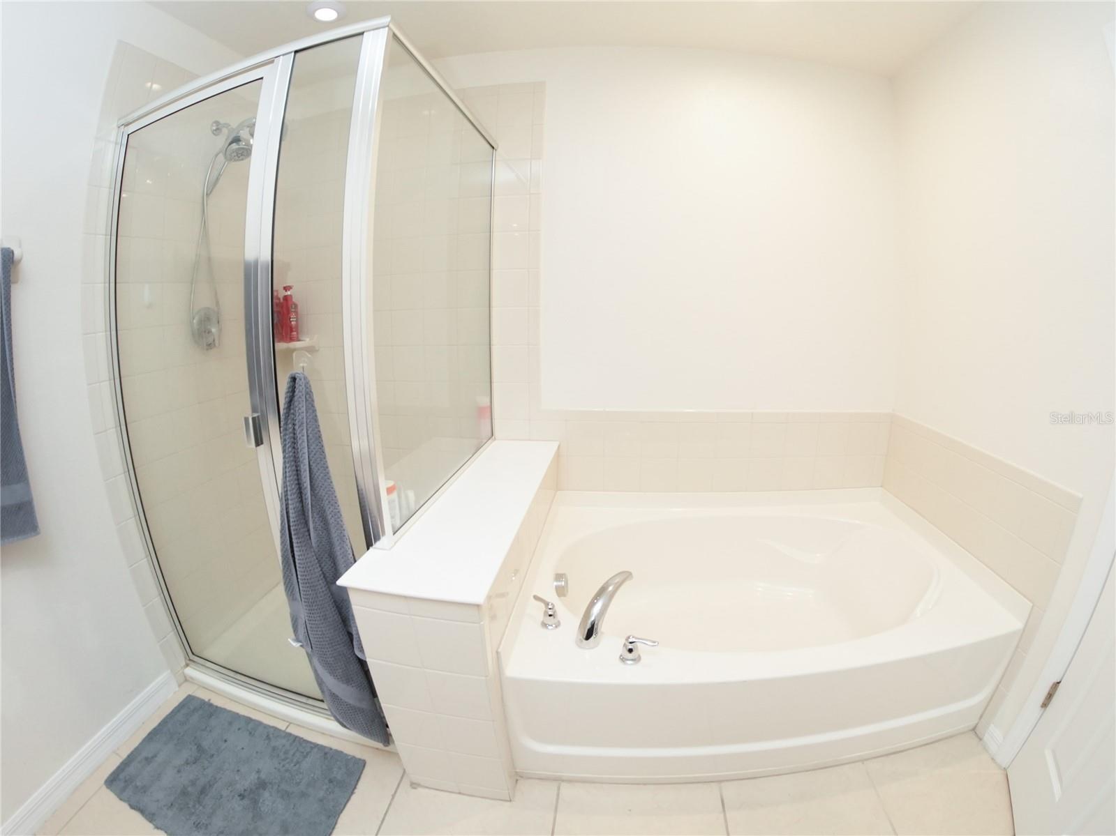 2451 Varenna Loop Kissimmee FL 34741 O6387448 image12