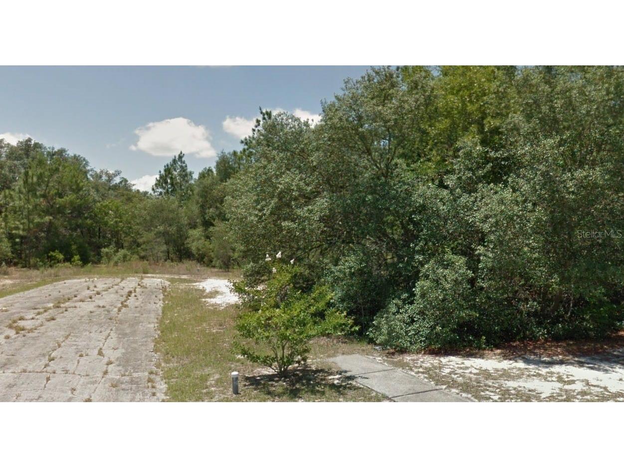 2451 W Menores Drive Citrus Springs FL 34434 O6193957 image1