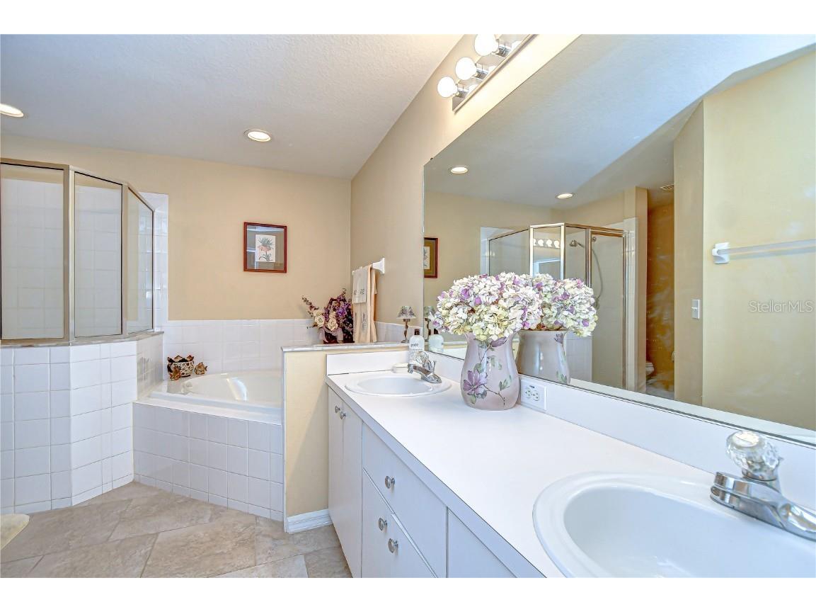 24510 Landing Drive Lutz FL 33559 TB8408992 image26