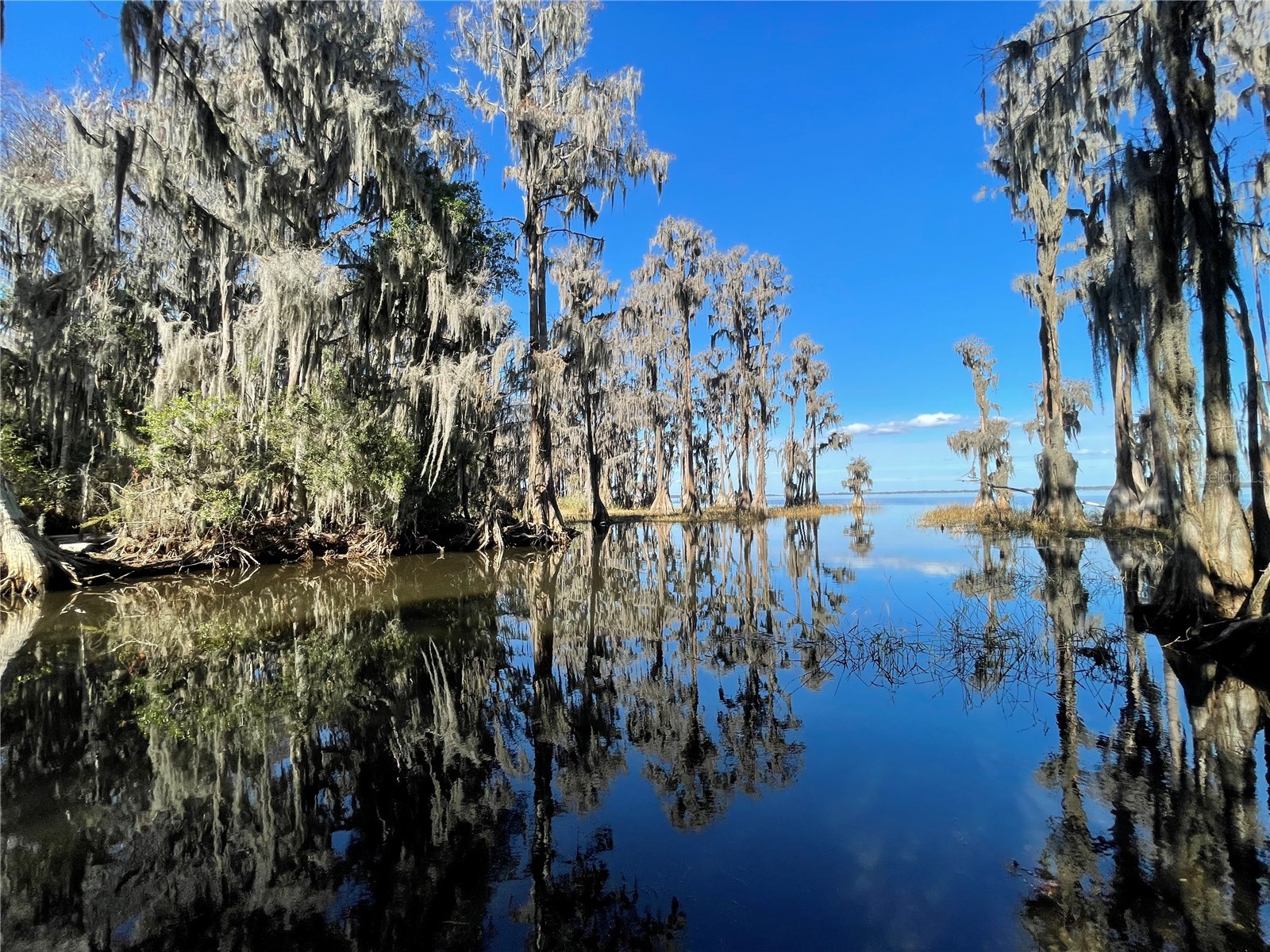 24510 Ne State Rd 26 Melrose FL 32666 - LAKE SANTA FE GC536541 image1