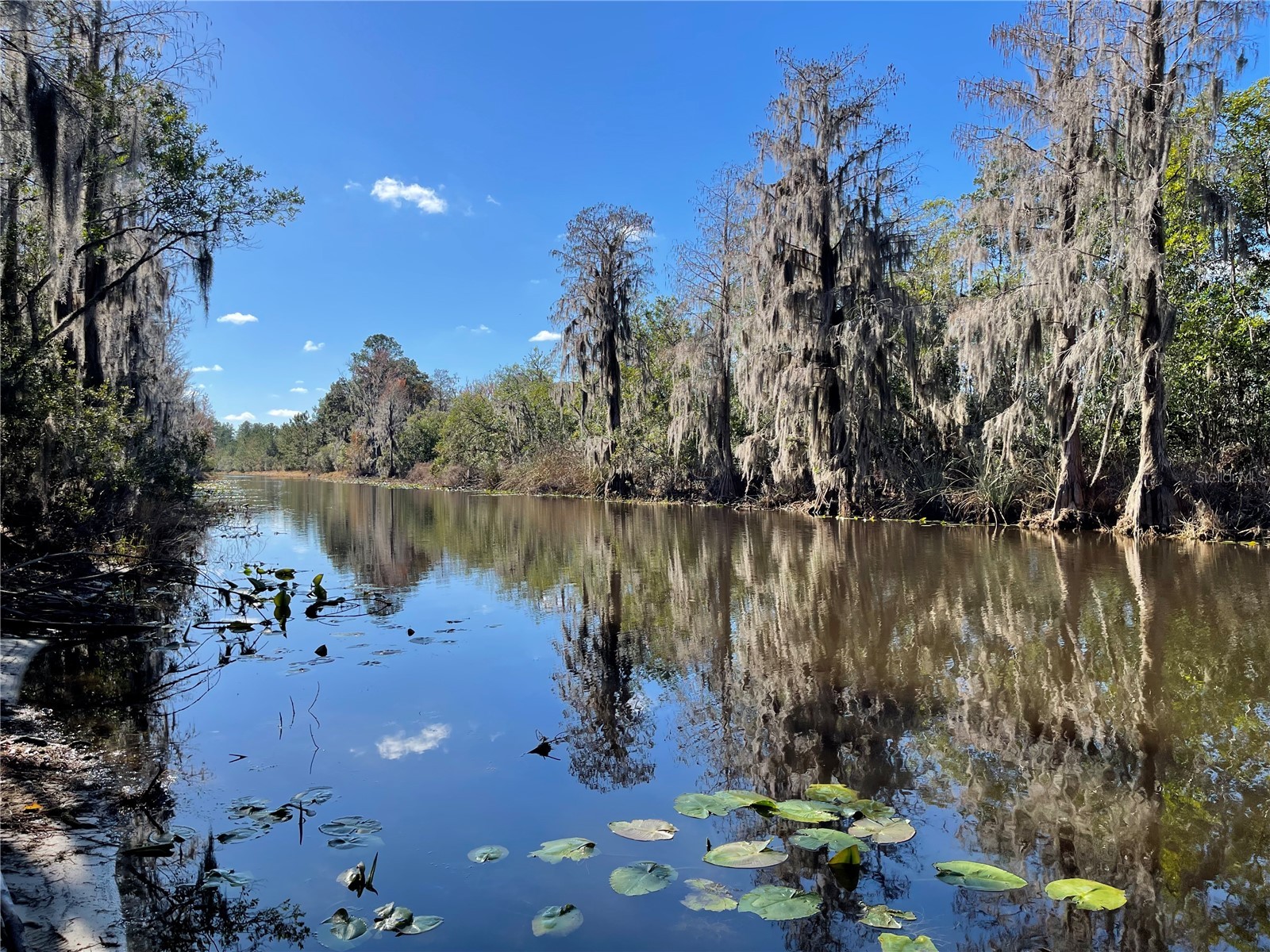 24510 Ne State Rd 26 Melrose FL 32666 - LAKE SANTA FE GC536541 image10
