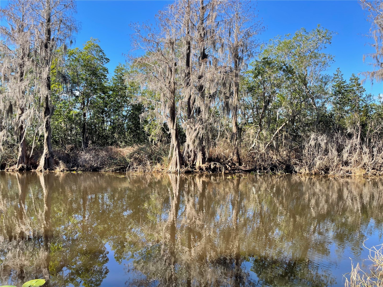 24510 Ne State Rd 26 Melrose FL 32666 - LAKE SANTA FE GC536541 image11