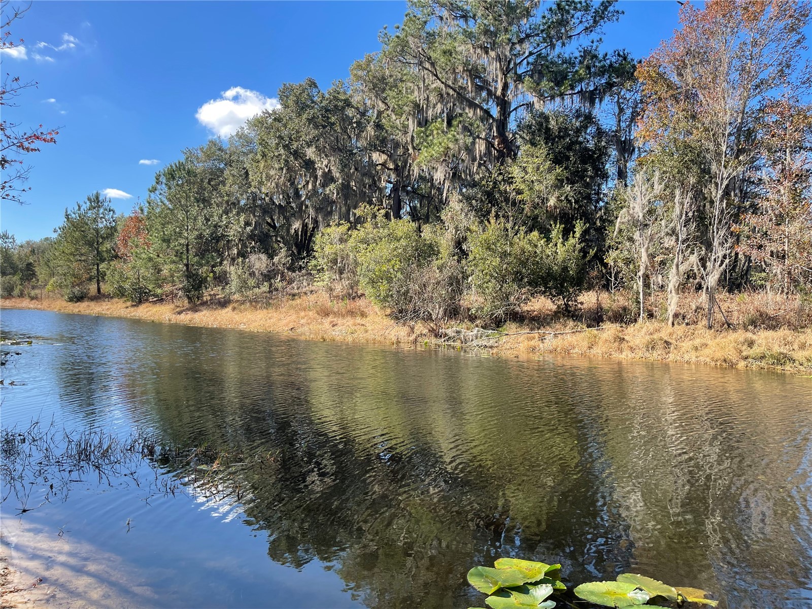24510 Ne State Rd 26 Melrose FL 32666 - LAKE SANTA FE GC536541 image12